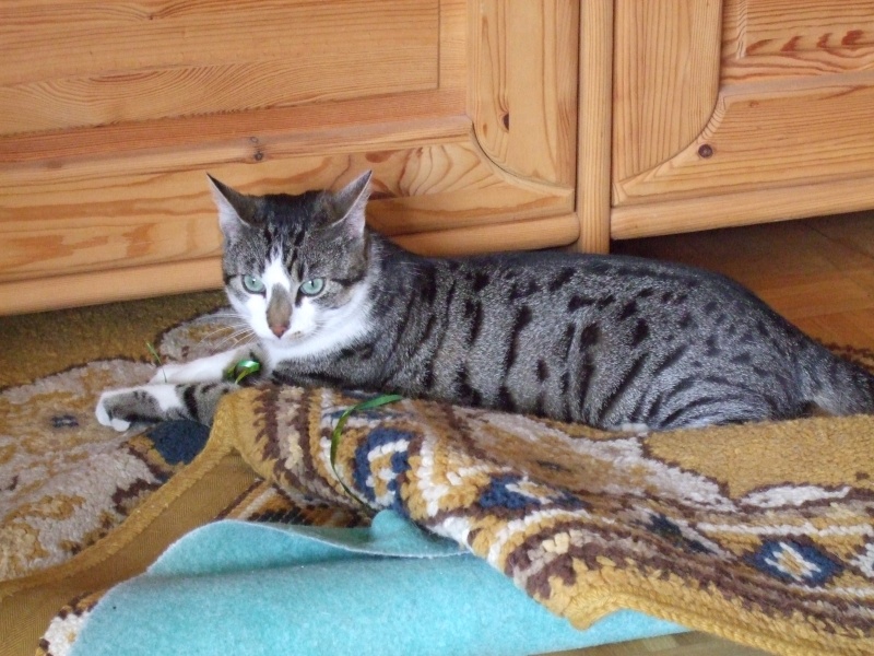 Ostern 2007 Orleshausen 146 